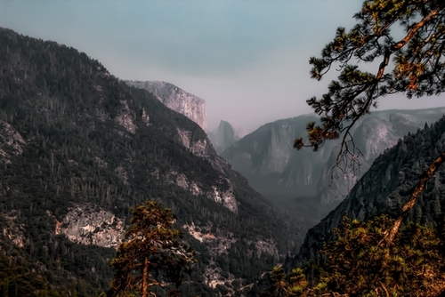 mountain in the forest at Yosemite national park California USA Mural by Timmy333