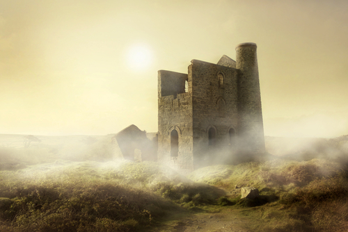 Foggy morning in western UK Mural by Jarek Blaminsky