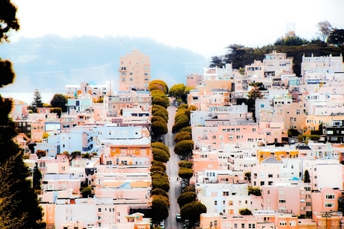 road with green tree and buildings at San Francisco California USA  Mural by Timmy333