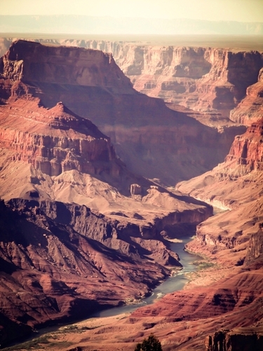 desert at Grand Canyon national park, USA Mural by Timmy333