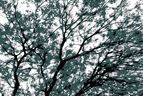 tree branch with green leaves abstract background Mural by Timmy333
