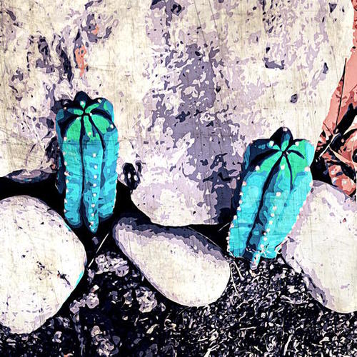 green cactus on the ground with stone background Mural by Timmy333