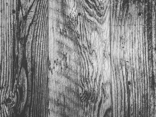 vintage wood texture background in black and white Mural by Timmy333