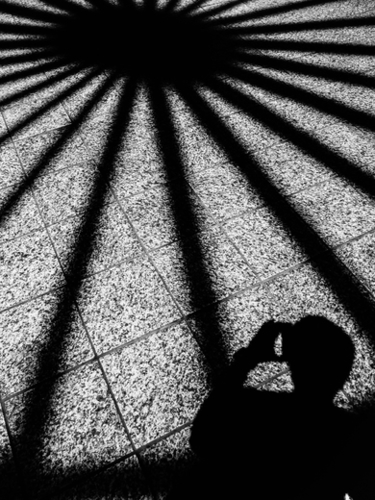 light and shadow in black and white Mural by Timmy333
