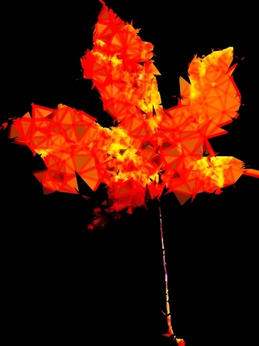 orange and yellow geometric polygon maple leaf abstract with black background Mural by Timmy333