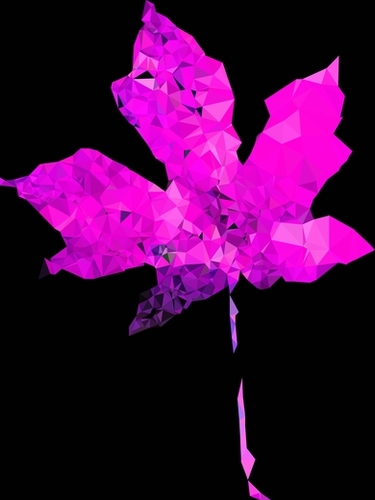 pink geometric polygon maple leaf abstract pattern with black background Mural by Timmy333