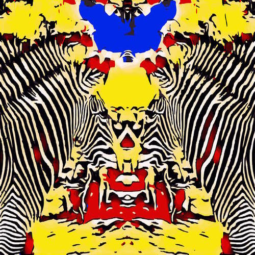 drawing and painting zebras with red yellow and blue background Mural by Timmy333