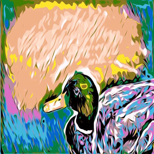 mallard duck with yellow green pink and blue abstract background Mural by Timmy333