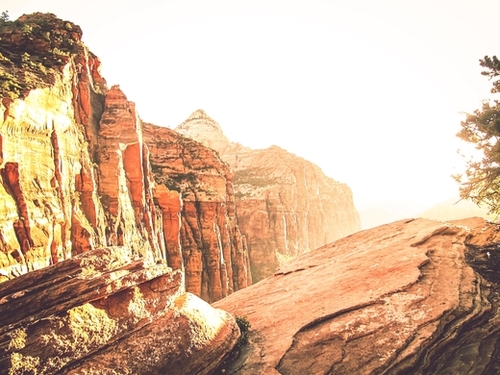 rocky mountain with strong sunlight at Zion national park, USA Mural by Timmy333