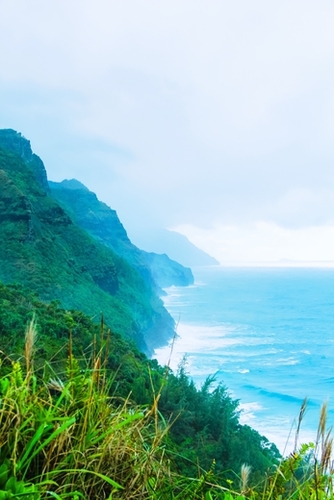green mountain and ocean view at Kauai, Hawaii, USA Mural by Timmy333