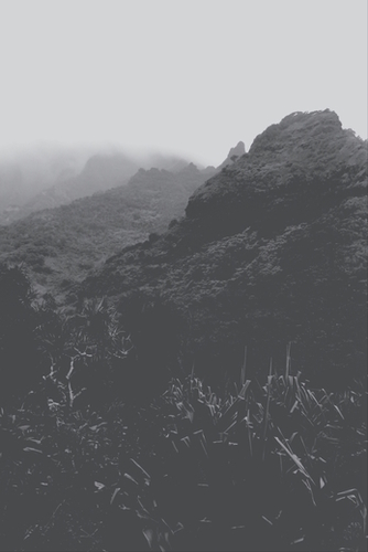 mountain in the forest with foggy sky in black and white Mural by Timmy333