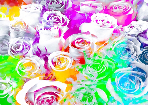 rose texture abstract  with colorful painting abstract background in pink blue green red yellow purple Mural by Timmy333
