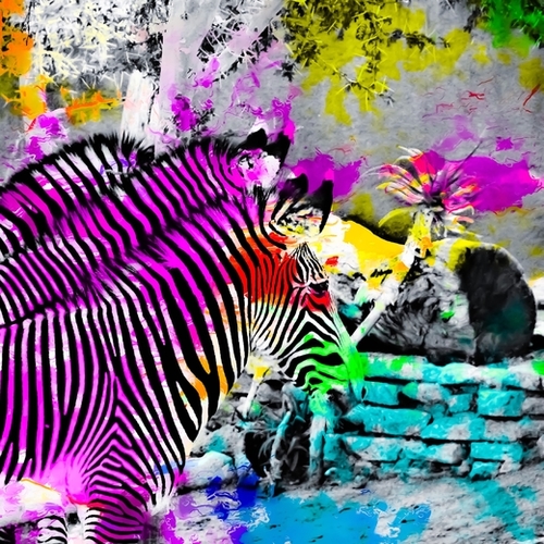 colorful zebra with painting texture abstract in pink yellow blue green Mural by Timmy333