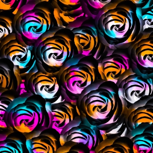 black rose texture abstract with painting abstract in orange pink blue Mural by Timmy333