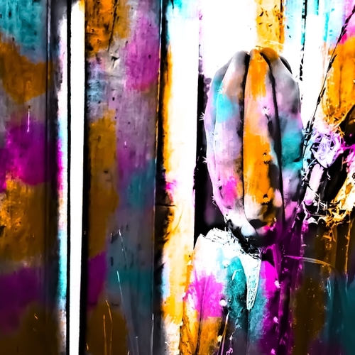 cactus with wooden background and colorful painting abstract in orange blue pink Mural by Timmy333