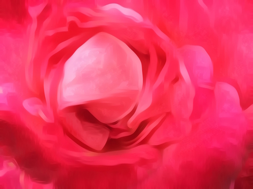 closeup red rose texture abstract background Mural by Timmy333