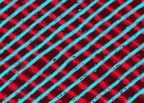 line pattern painting abstract background in red and blue Mural by Timmy333
