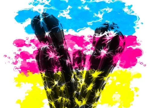 cactus with colorful painting abstract background in blue pink yellow Mural by Timmy333
