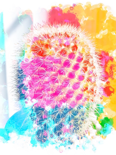 closeup cactus with colorful painting abstract in pink orange blue Mural by Timmy333