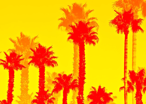 orange palm tree pattern abstract with yellow background Mural by Timmy333