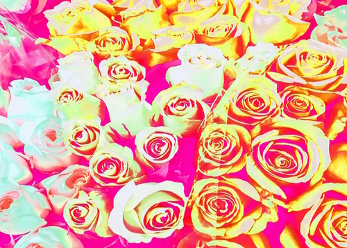 bouquet of roses texture pattern abstract in pink red yellow Mural by Timmy333