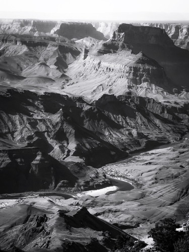 Desert at Grand Canyon national park, USA in black and white Mural by Timmy333