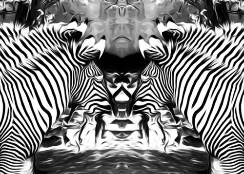 zebras in black and white Mural by Timmy333