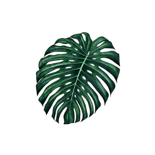 Monstera Mural by Nika_Akin