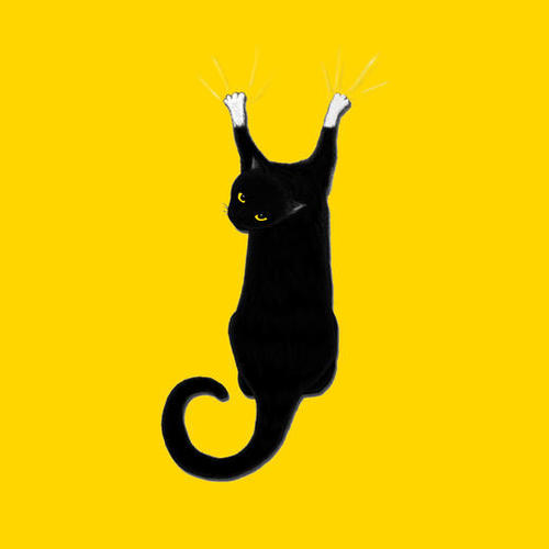 Hang Cat Mural by Tummeow