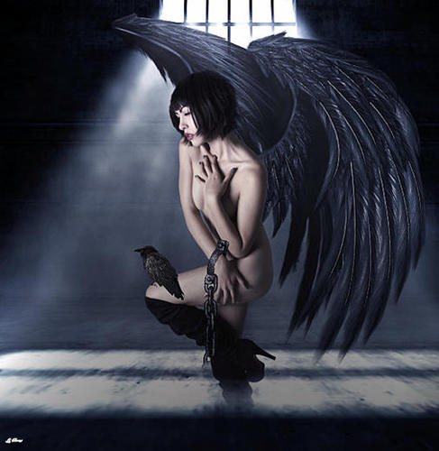 CAPTIVE RAVEN Mural by G. Berry