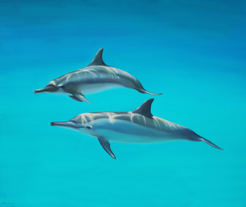 Dolphins Mural by di-tommaso
