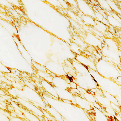 Gold Marble Mural by Uma Gokhale