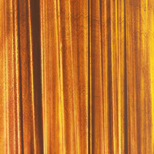 Goldriver-A Mural by Jerome Hemain