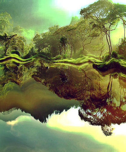 wobbly jungle Mural by vividvivi