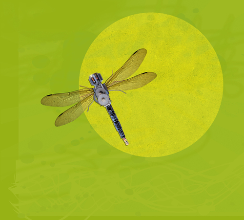 Mecanical Dragonfly Mural by tzigone
