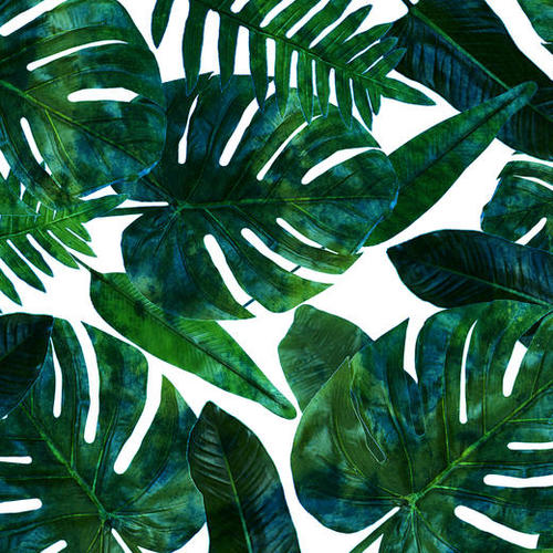 Perceptive Dream V2 Mural by Uma Gokhale