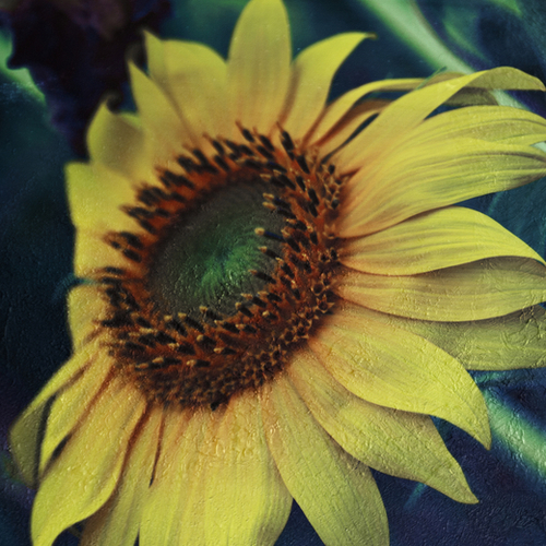 Sunflower Mural by VanessaGF